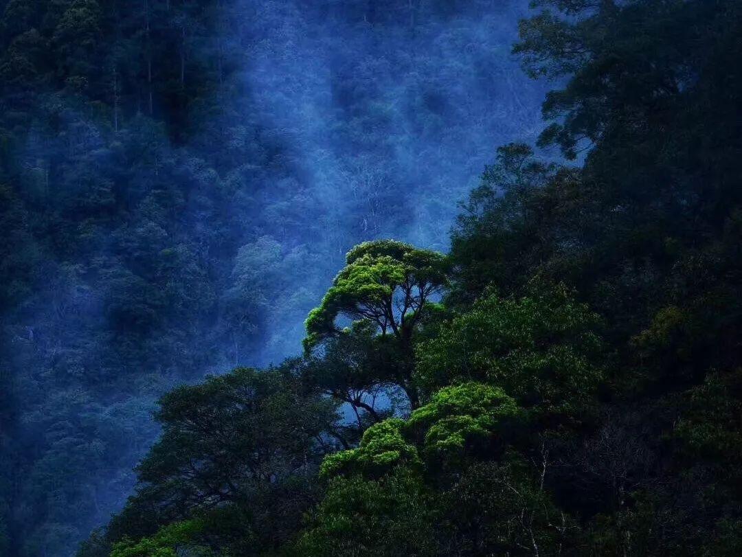 沪江开心词场