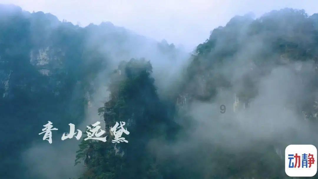 沪江开心词场