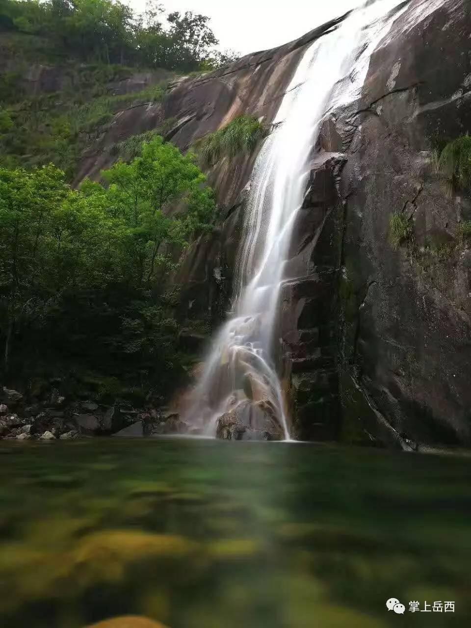 88影视